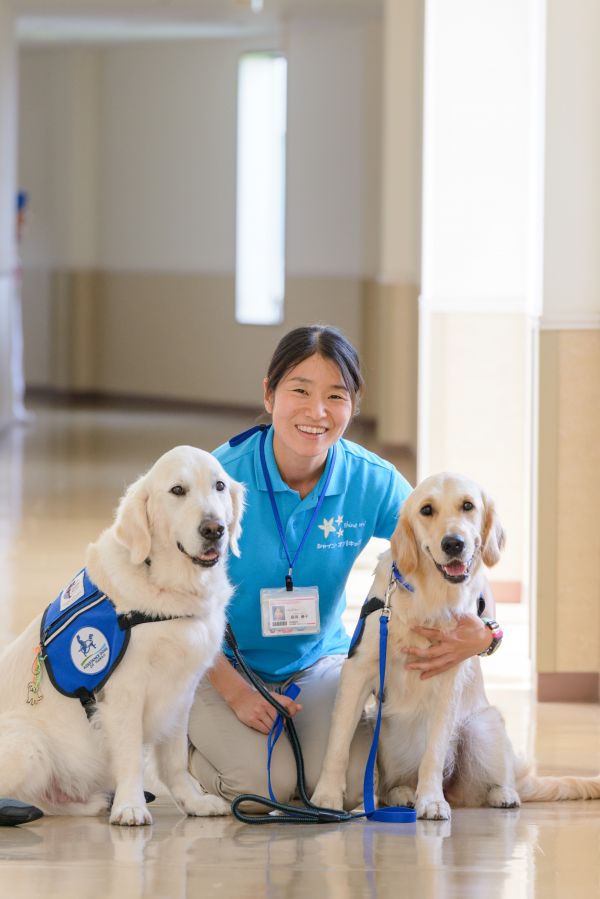 Chó trị liệu Nhật Bản Bailey